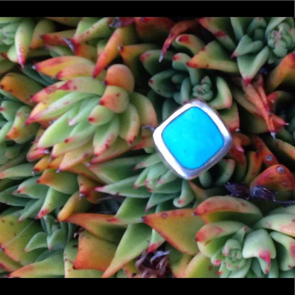 Turquoise tone ring